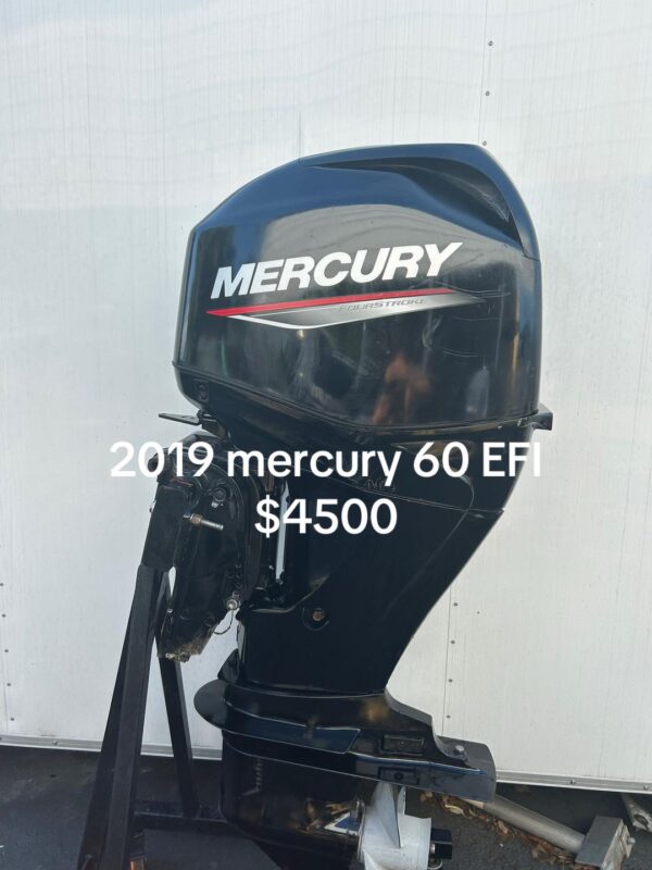 2019 Mercury 60hp outboard engine.